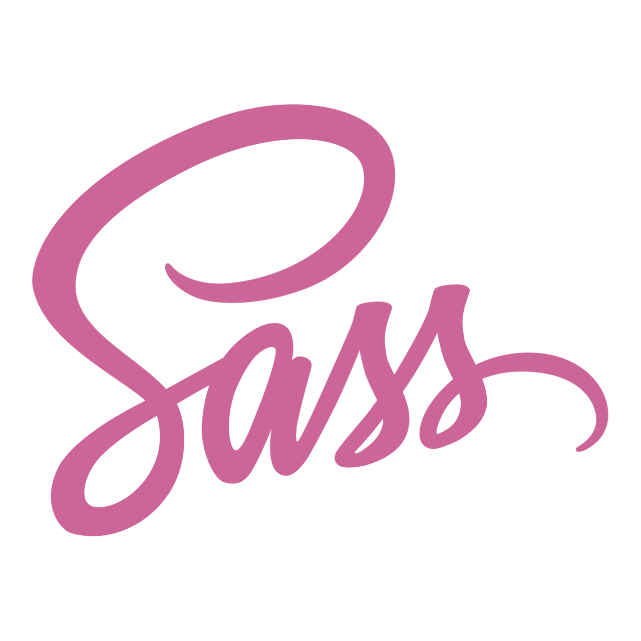 SASS SASS icon